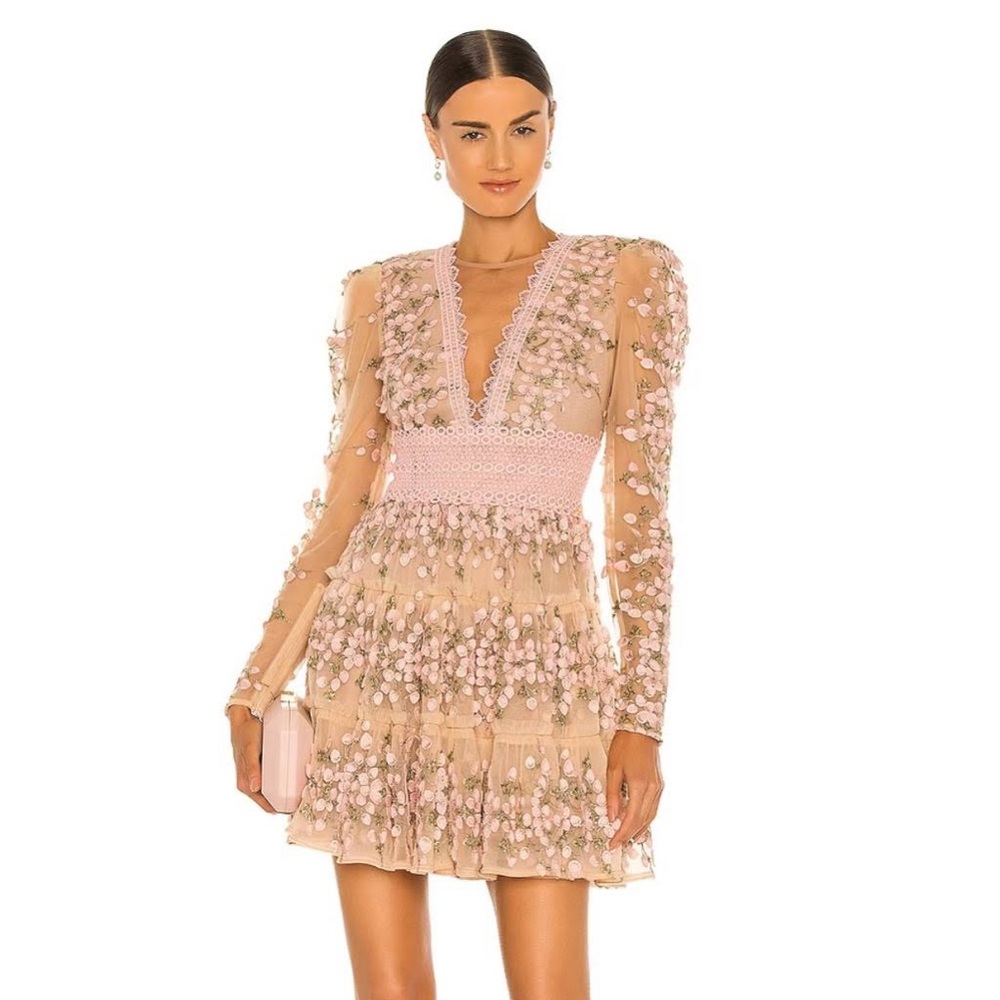 BRONX AND BANCO
Megan Embroidered Mini Dress in Rose